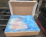 ボイルずわいがに