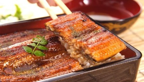中国産うなぎ蒲焼