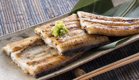 国産うなぎ白焼